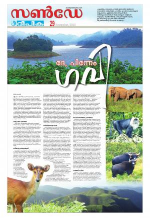 sunday deepika 29 november 2015