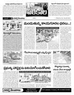 Warangal Constituencies