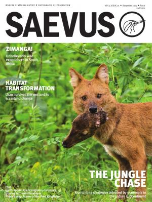 SAEVUS DECEMBER 2015
