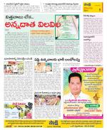 Krishna Constituencies