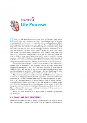 NCERT CBSE Class 10th Science Chapter-6 Life Processes