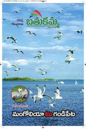 13 December 2015 Sunday Magazine