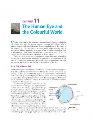 NCERT CBSE Class 10th Science Chapter-11: The Human Eye and the Colourful World