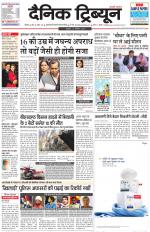 Dainik Tribune (Rohtak Edition)