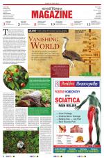 The New Sunday Express Magazine