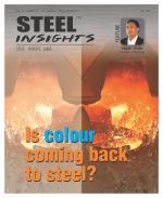 Steel Insights