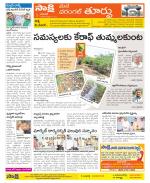 Warangal City Constituencies