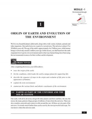 Origin of Earth and Evolution of the Environment (227 KB) PDF File Opens in a new window