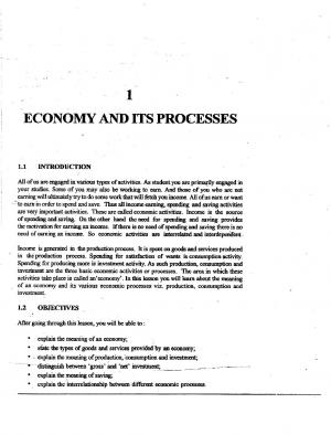 Economy and Its Processes (385 KB) PDF File Opens in a new window