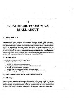 What Micro Economics is all about (418 KB) PDF File Opens in a new window