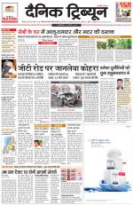 Dainik Tribune (Rohtak Edition)