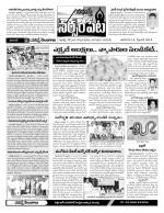 Warangal Constituencies