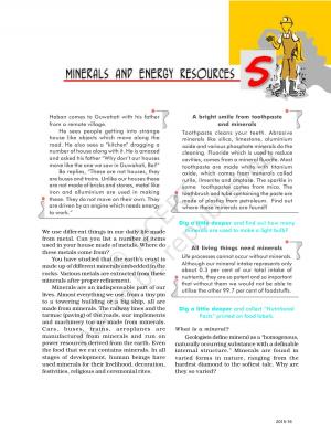 Contemporary India Chapter 5