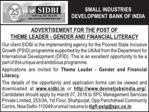 SIDBI Recruitment 2016 for Theme Leader (Gender and Financial Literacy) Post