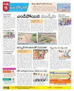 Hanamakonda Constituencies