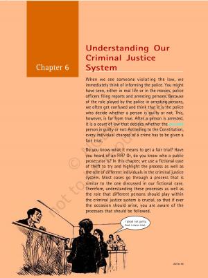 Understanding Our Criminal Justice System