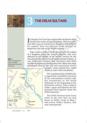 3THE DELHI SULTANS