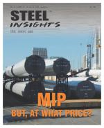 Steel Insights