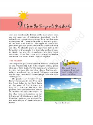 life in the temperate grassland