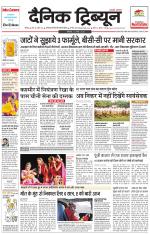 Dainik Tribune (Rohtak Edition)