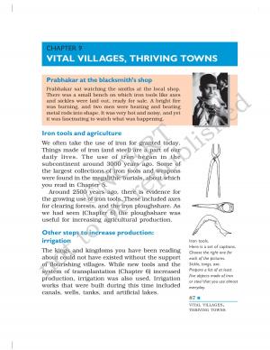 VITAL VILLAGES, THRIVING TOWNS