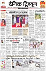 Dainik Tribune (Rohtak Edition)
