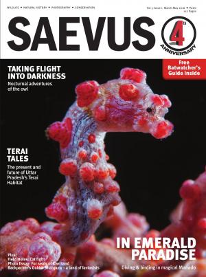 SAEVUS MARCH-MAY 2016