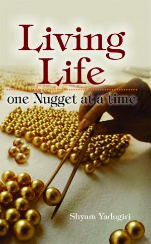 Living Life - One Nugget at a Time