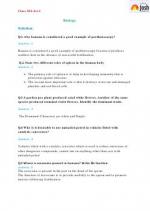 Question Papers / Sample Papers