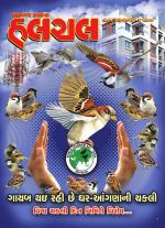 Mahanagar Calcutta Halchal