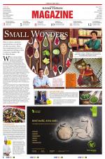 The New Sunday Express Magazine