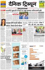 Dainik Tribune (Rohtak Edition)