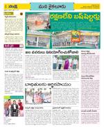 Krishna Constituencies