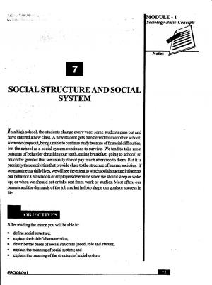 Social Structure and Social System (458 KB) PDF File Opens in a new window