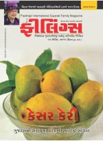 Feelings Gujarati Magazine