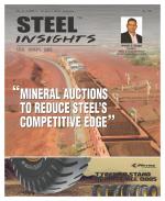 Steel Insights