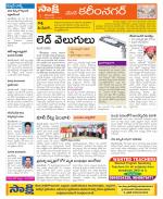 Karimnagar Constituencies