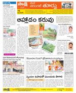 Warangal City Constituencies