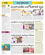 Krishna Constituencies