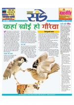 Star Samachar Sunday