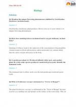 Question Papers / Sample Papers