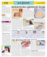 Krishna Constituencies