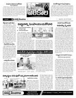 Warangal Constituencies