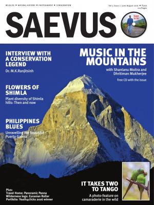 SAEVUS JUNE-AUGUST 16