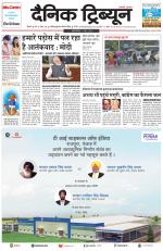 Dainik Tribune (Rohtak Edition)