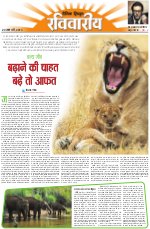 Dainik Tribune (Lehrein)