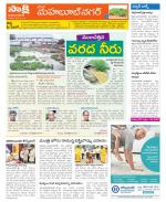 Mahabubnagar Constituencies