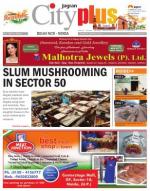 Vol VII, Issue 20, January 26 - February 1, 2013