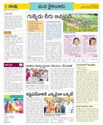 Krishna Constituencies