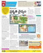 Warangal City Constituencies